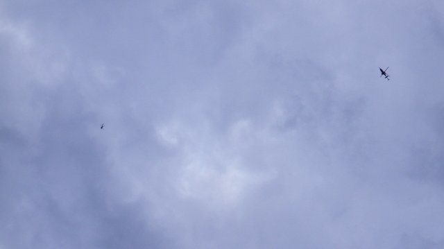 20170102_0805_48.jpg