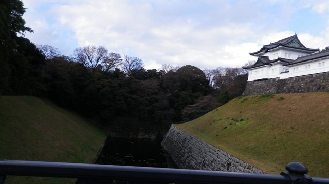 20170102_0937_52.jpg