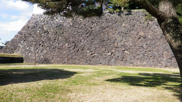 20170102_1028_44.jpg